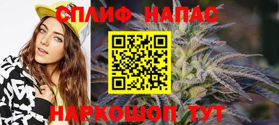 индика Сланцы