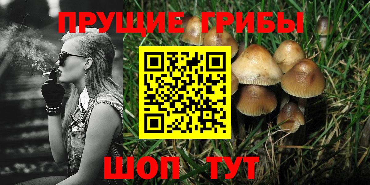 Псилоцибиновые грибы Magic Shrooms  Вход с VPN  закладки  Можга 